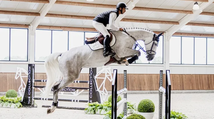 The Collection Auction, une cinquième édition en direct pour la première fois !