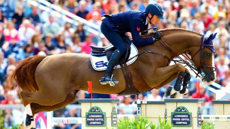 Embryons issus de mères exceptionnelles et de poulinières dans la vente Grand Prix Sales