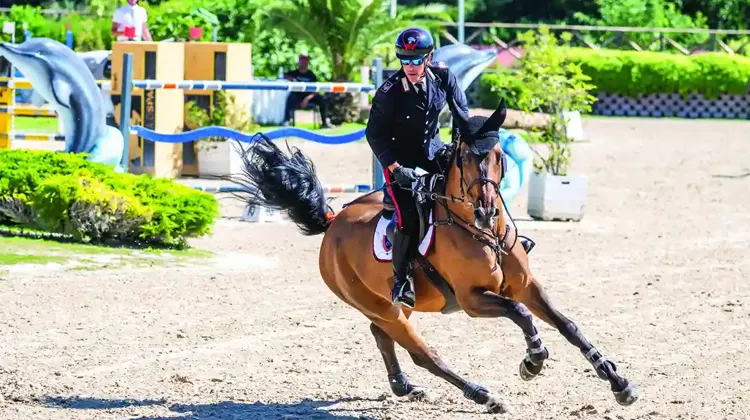 La nouvelle génération des bottes Tattini