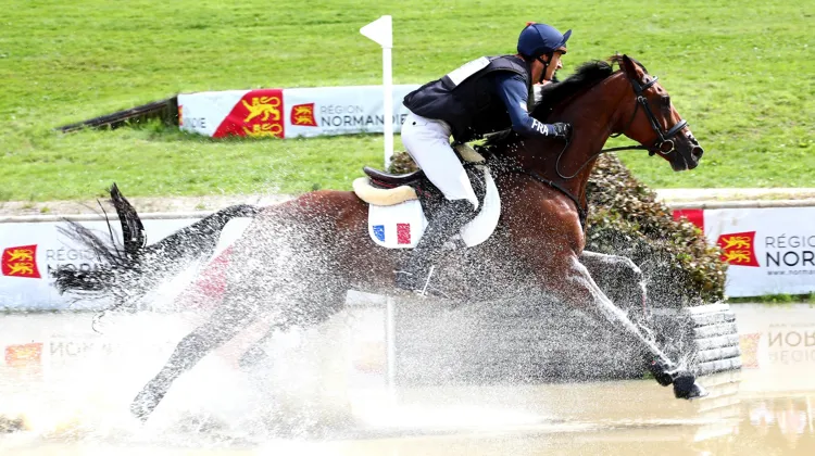 Gireg Le Coz et Aisprit de la Loge aux Européens du Pin-au-Haras. 