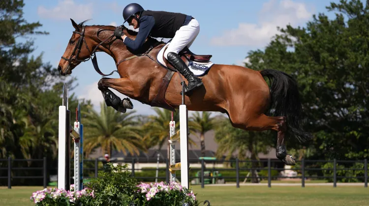 “Imerald est un super cheval et a réalisé des choses incroyables au cours de nos cinq dernières années communes”, a réagi l’Irlandais.
