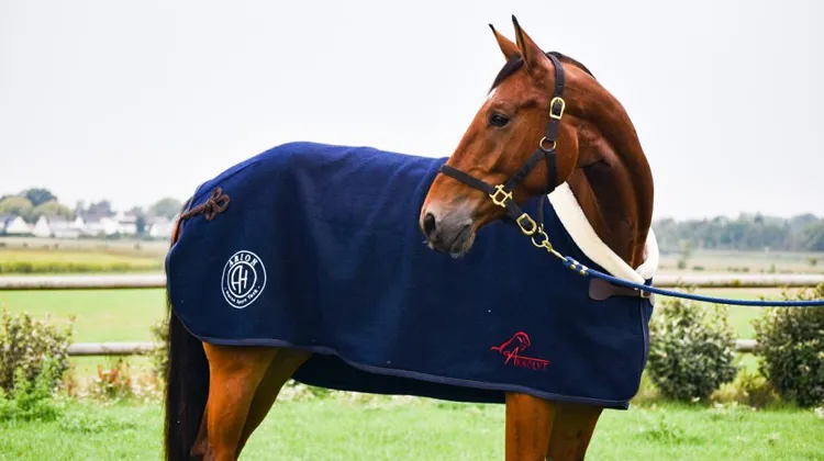 Akkolyt, une boutique d’équipements personnalisés en un clic !