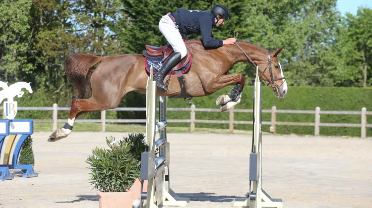 La Baule Auction : le 5 juin sur la plage de La Baule !