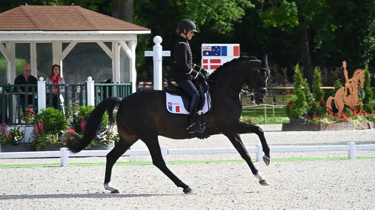 Pauline Basquin et Sertorius de Rima Z*IFCE à Compiègne
