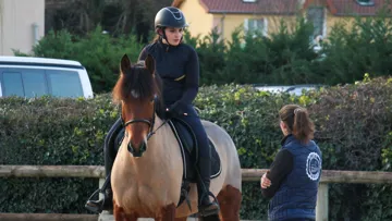 ©Equivallée - Haras national de Cluny