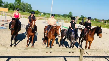La formation équestre qui s’axe sur le bien-être équin