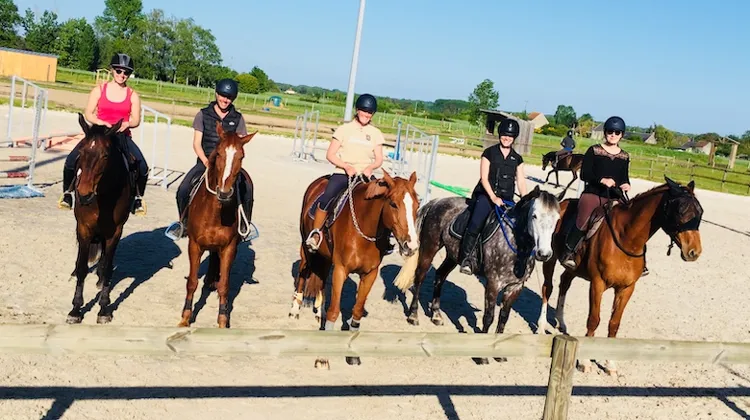 La formation équestre qui s’axe sur le bien-être équin