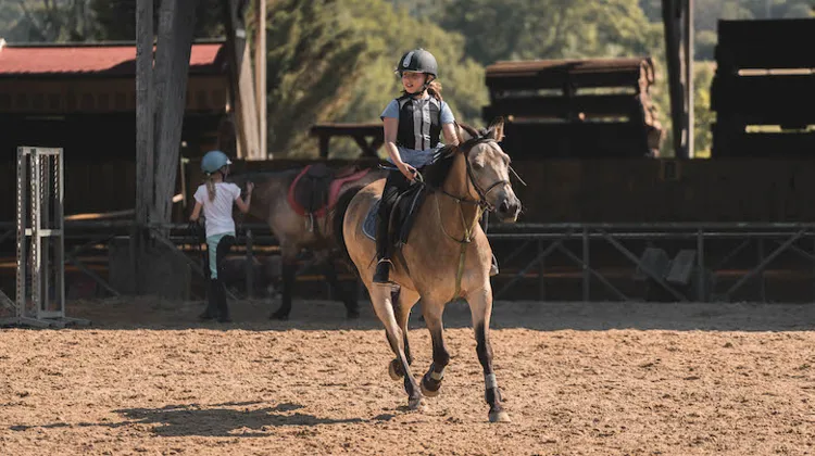 Cet été, profitez d’un véritable stage d’équitation et passez vos galops avec SEJ ! 