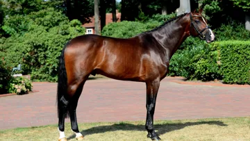 Projecteurs sur… Casallco