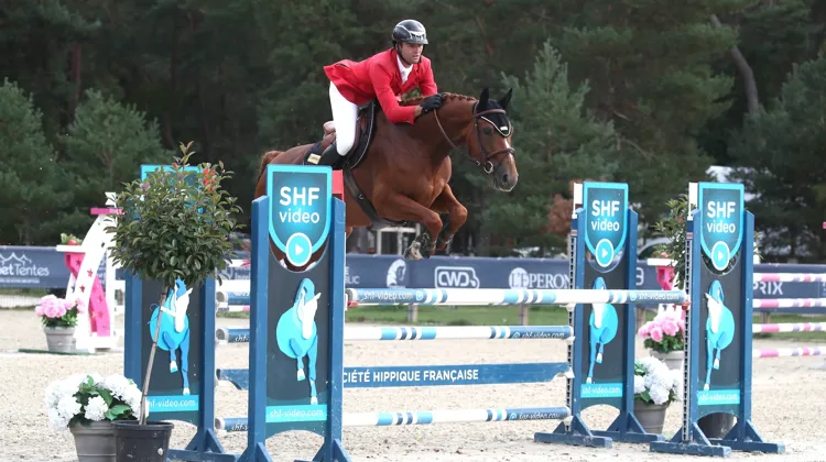 Championne de France des juments de cinq ans à Fontainebleau, début septembre, avec Matthieu Schmitt, Izalia Mouche est le produit d’un élevage familial et traditionnel.