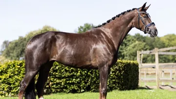 Dernière ventes aux enchères Grand Prix Sales 2025