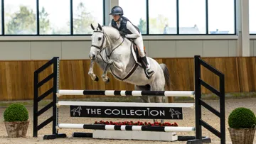 The Collection Auction du 27 au 29 mai 2022