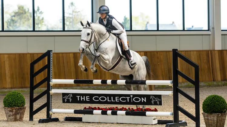 The Collection Auction du 27 au 29 mai 2022