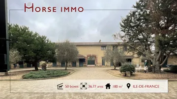 HORSE IMMO