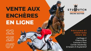 Une trentaine de poulains et embryons pour la prochaine vente aux enchères en ligne StuDutch