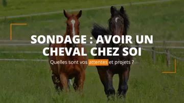 Répondez à notre sondage ! 