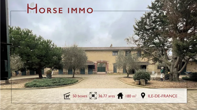 HORSE IMMO