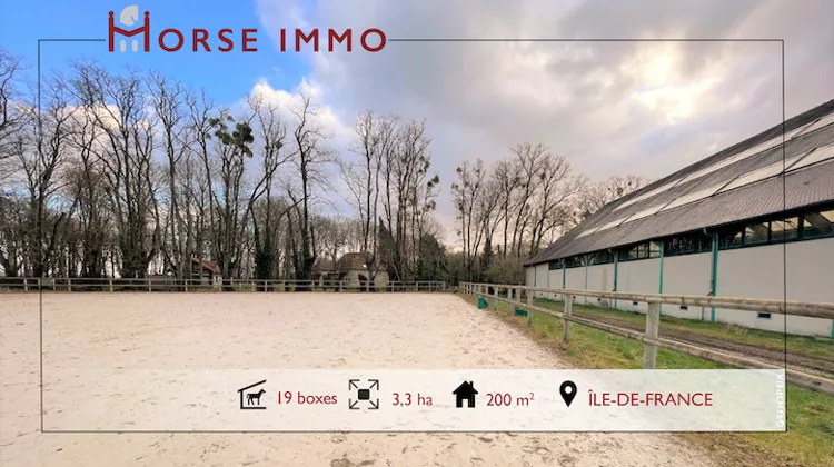 HORSE IMMO