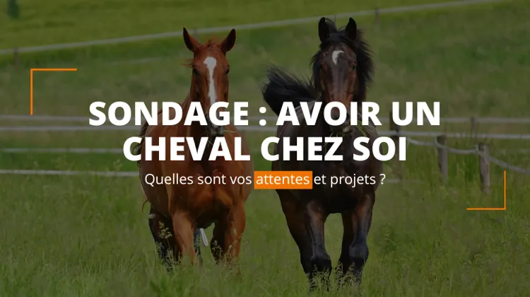 Répondez à notre sondage ! 