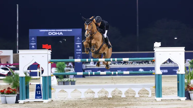 Francisco José Mesquita Musa sur Carte de Blue PS Marathon 