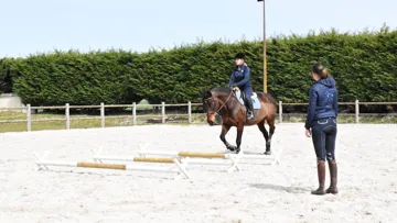 Formations pour professionnels et amateurs 