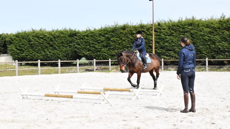 Formations pour professionnels et amateurs 