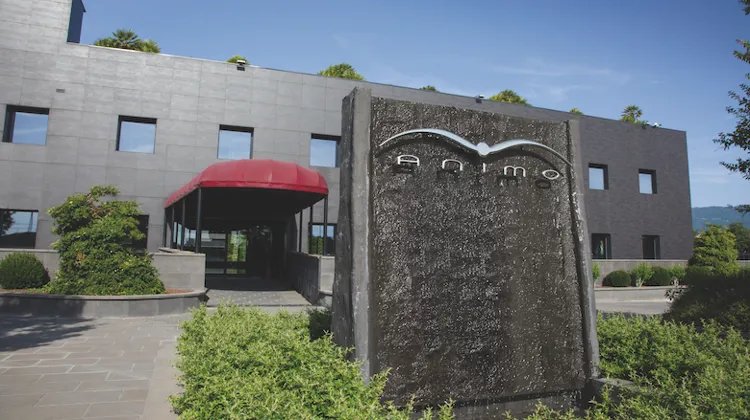 Animo, l'esprit cavalier