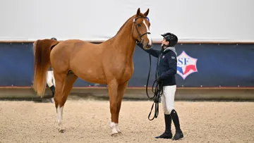 Misez sur Jet des Forêts, le champion de France en titre des trois ans !