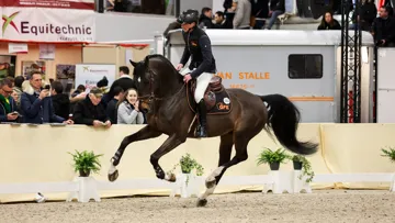 Macho Man (Kannan*GFE x Numero Uno) est à un cœur à prendre