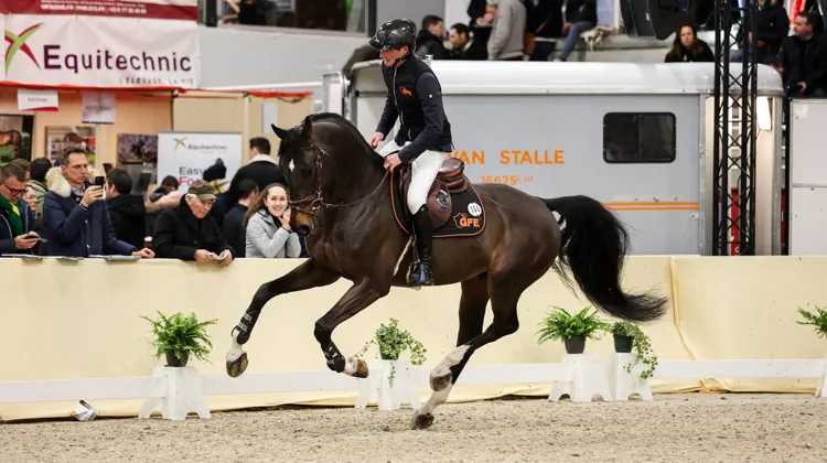 Macho Man (Kannan*GFE x Numero Uno) est à un cœur à prendre