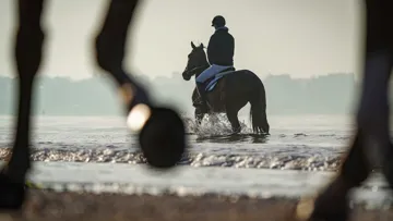 Cavalier et son cheval en balade