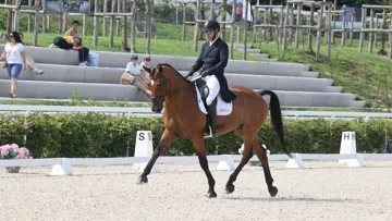 Sébastien Cavaillon et Elipso de la Vigne (SF, Arko x Duc du Hutrel) sont en tête de la Pro Élite après le dressage. 