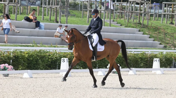 Sébastien Cavaillon et Elipso de la Vigne (SF, Arko x Duc du Hutrel) sont en tête de la Pro Élite après le dressage. 