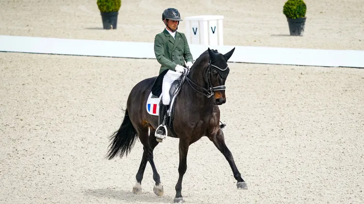 Corentin Pottier et Gotilas du Feuillard, qui ont battu leurs records le week-end passé au CDI 5* de Fontainebleau. 