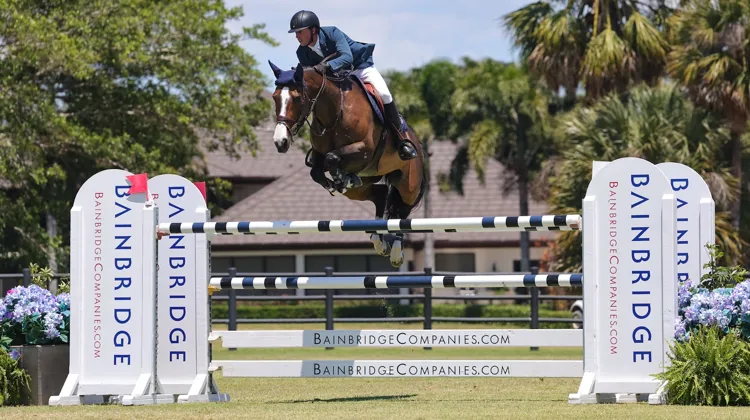 Malgré une blessure au pied gauche, Ben Maher a gagné un nouveau Grand Prix hier à Wellington.