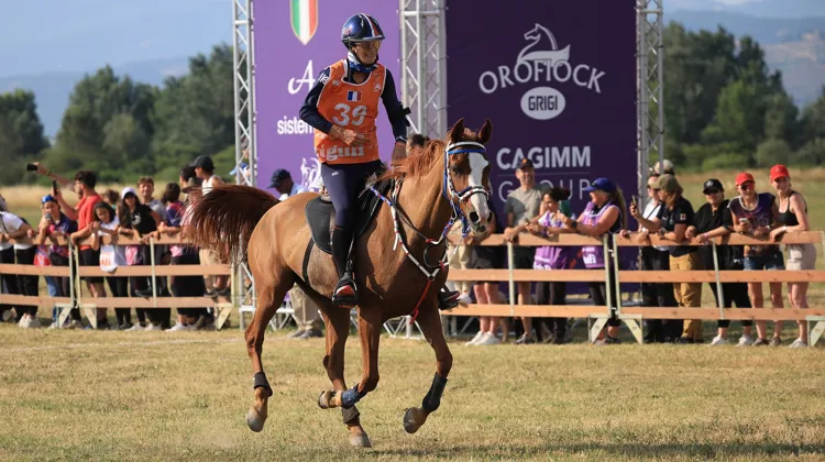 France Paul et D'Arohz Rouge du Val 