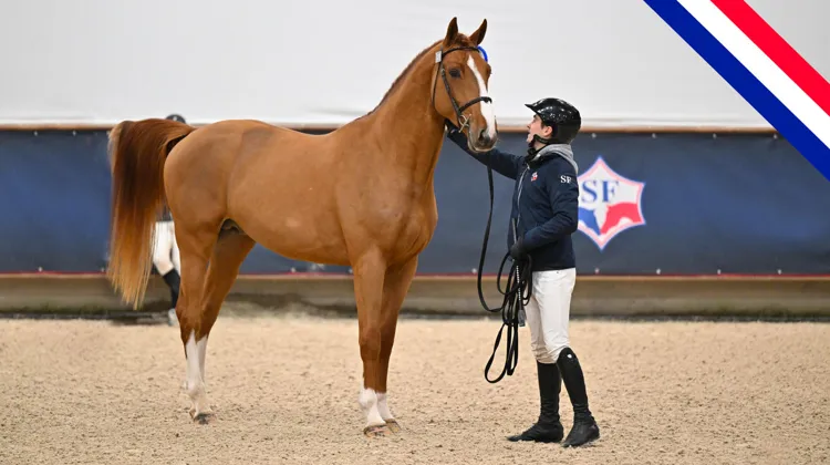 Projecteurs sur… Jet des Forêts
