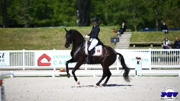 Les Internationaux de Dressage