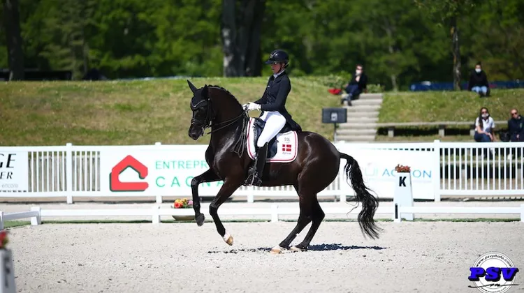 Les Internationaux de Dressage