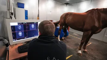 « Notre souhait est de développer la prise en charge d’examen par IRM pour qu’il soit aussi simple qu’en médecine humaine », Dr vétérinaire Laurent Brogniez