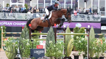 Ici lors des Européens de Göteborg en 2017, Vagabond de la Pomme a représenté la France dans nombre de Coupes des nations sous la selle de Pénélope Leprevost.
