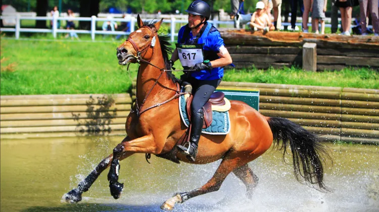 jardy eventing show 3* | 1er au 5 mai