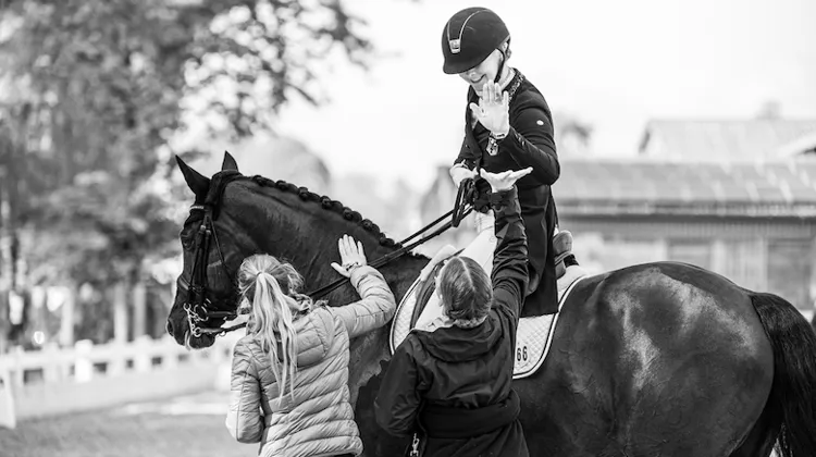 Le sondage bien-être Cavalor: focus sur les détails qui font la différence