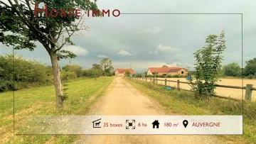 HORSE IMMO