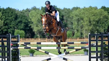 Les favoris de la première édition de la vente aux enchères de Beervelde Horse Auction