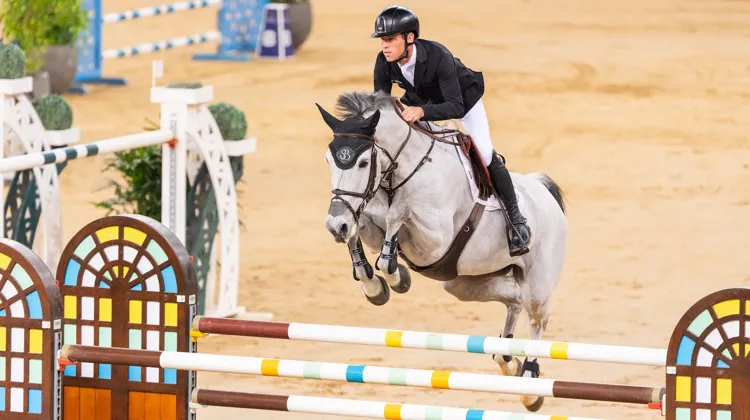 Aujourd’hui encore, Scott Brash a remporté les Grand Prix 3* et 5* de Doha.