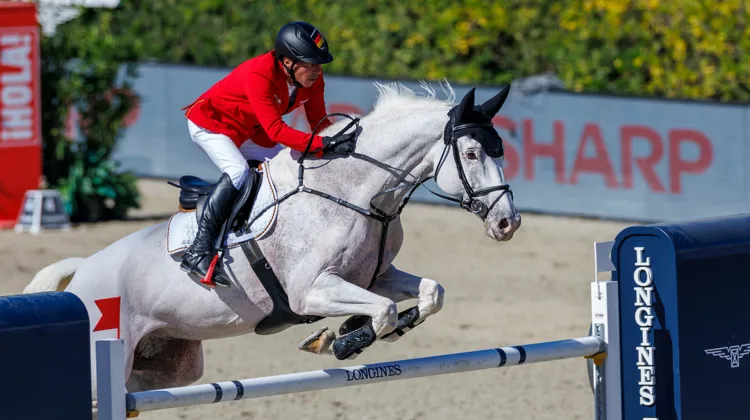 Monté par l’Allemand Hans-Dieter Dreher, Elysium, ici à la finale des Coupes des nations Longines de Barcelone, est le meilleur produit étranger de Quamikase des Forêts.