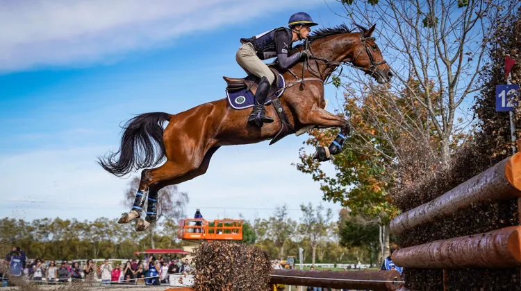 Face aux difficultés que représente l’organisation de compétitions de concours complet, certains organisateurs disent avoir à se renouveler.