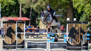 Projecteurs sur… Helios d’Helby*GFE