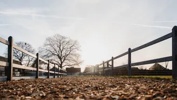 Les clôtures Infinity en plastique composite recyclé